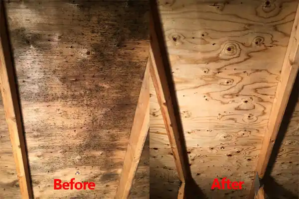 water damage restoration service Kaleva